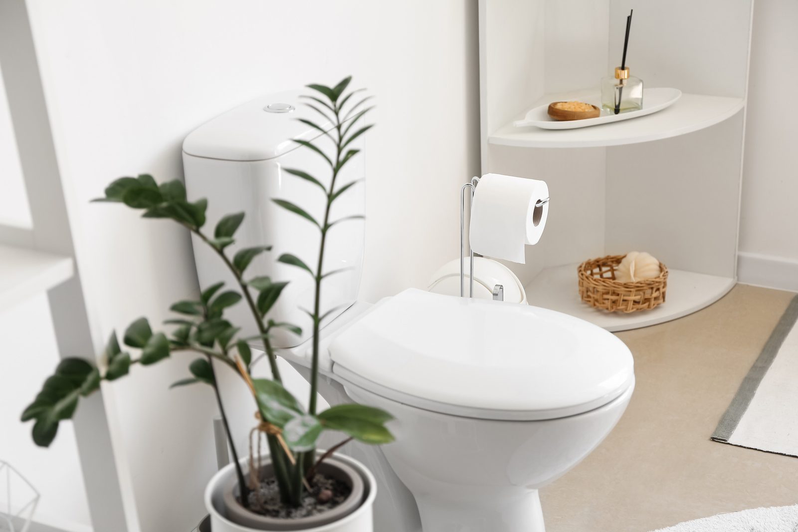 Clean modern bathroom with a white toilet and plant